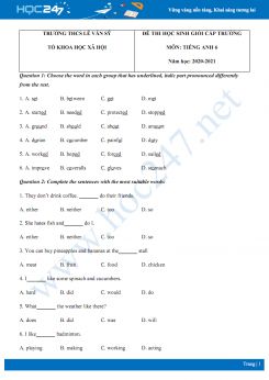 Đề thi HSG cấp trường môn Tiếng Anh 6 năm 2020 có đáp án trường THCS Lê Văn Sỹ