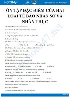 Bài tập trắc nghiệm kiểm tra Đặc điểm của hai loại tế bào nhân sơ và nhân thực Sinh học 10