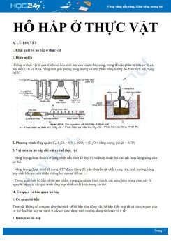Lý thuyết và bài tập ôn tập quá trình hô hấp ở thực vật Sinh học 11