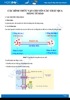 Tổng ôn Các hình thức vận chuyển các chất qua màng tế bào Sinh học 10