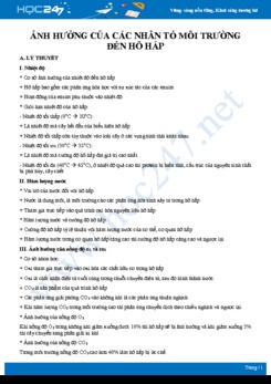 Kiến thức trọng tâm Ảnh hưởng của các nhân tố môi trường đến hô hấp Sinh học 11