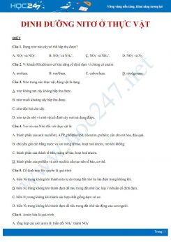 Bài tập trắc nghiệm ôn tập Dinh dưỡng nito ở thực vật Sinh học 11 theo từng mức độ