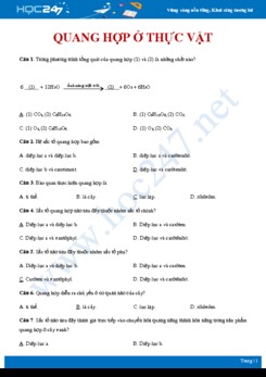 31 Câu hỏi trắc nghiệm ôn tập Quá trình quang hợp ở thực vật Sinh học 11