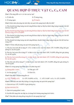 35 Câu hỏi trắc nghiệm ôn tập Quá trình quang hợp ở các nhóm thực vật Sinh học 11 có đáp án
