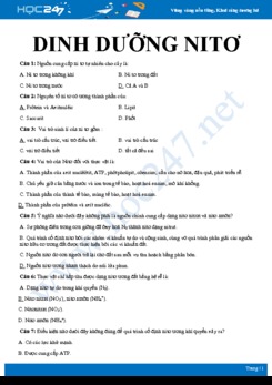 Câu hỏi trắc nghiệm ôn tập Vai trò của nguyên tố nito Sinh học 11 có đáp án