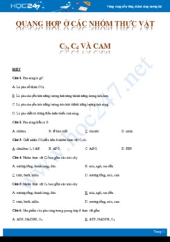 30 Bài tập trắc nghiệm Quang hợp ở thực vật C3, C4 và CAM Sinh học 11 theo từng mức độ