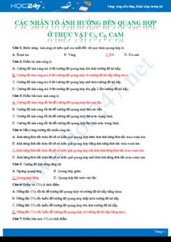 Bài tập trắc nghiệm Các nhân tố ảnh hưởng đến quang hợp ở các nhóm thực vật Sinh học 11