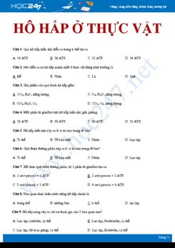 30 Bài tập trắc nghiệm ôn tập Quá trình hô hấp ở thực vật Sinh học 11 có đáp án