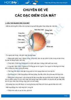 Chuyên đề Tổng hợp về Các đặc điểm của Mắt môn Vật Lý 11 năm 2020