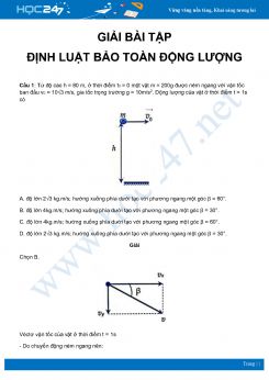 Hướng dẫn giải chi tiết bài tập Định luật bảo toàn động lượng môn Vật Lý 10 năm 2020