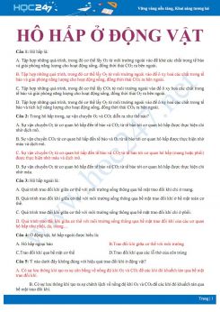 36 Câu hỏi trắc nghiệm ôn tập Quá trình hô hấp ở động vật Sinh học 11 có đáp án