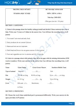 Đề thi HSG cấp trường môn Tiếng Anh 6 năm 2020 có đáp án trường THCS Mỹ Đức