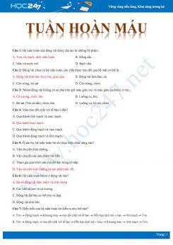 47 Câu hỏi trắc nghiệm ôn tập Quá trình tuần hoàn máu Sinh học 11 có đáp án