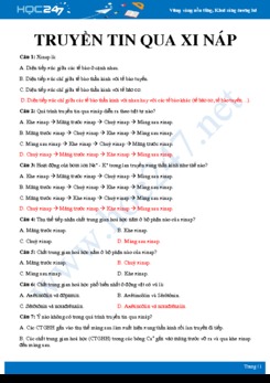 Bài tập trắc nghiệm ôn tập Quá trình truyền tin xinap Sinh học 11 có đáp án