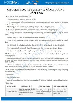 Bài tập tự luận ôn tập chuyển hóa vật chất, năng lượng và cảm ứng Sinh học 11