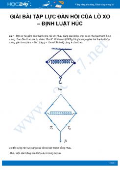 Hướng dẫn giải dạng bài tập về Lực đàn hồi của lò xo và Định luật Húc môn Vật Lý 10 năm 2020