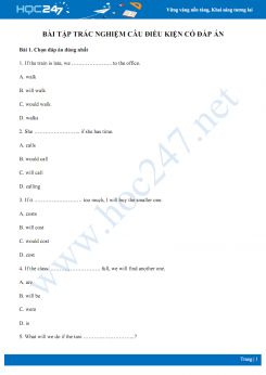 Bài tập câu điều kiện có đáp án