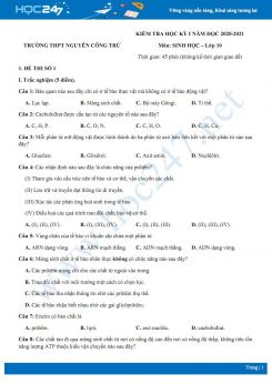 Bộ 3 đề thi HK1 môn Sinh học 10 năm 2020 - Trường THPT Nguyễn Công Trứ có đáp án