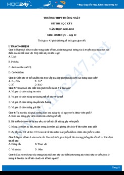 Hướng dẫn giải chi tiết đề thi HK1 môn Sinh học 10 năm 2020 - Trường THPT Thống Nhất