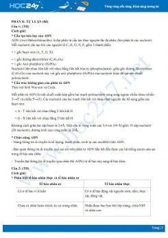 Bộ đề thi HK1 môn Sinh học 10 năm 2020 dạng trắc nghiệm và tự luận kết hợp có đáp án