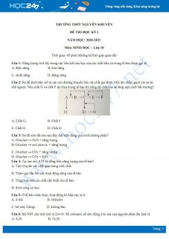 Hướng dẫn giải chi tiết đề thi HK1 môn Sinh học 10 năm 2020 - Trường THPT Nguyễn Khuyến