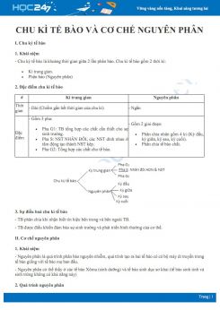 Tổng ôn lý thuyết Chu kì tế bào và cơ chế Nguyên phân Sinh học 10