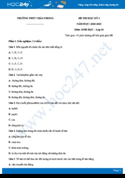 Đề thi HK1 môn Sinh học 10 năm 2020 - Trường THPT Châu Phong có đáp án