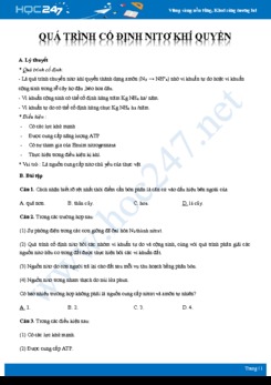 Tổng ôn Quá trình cố định nito trong khí quyển Sinh học 11