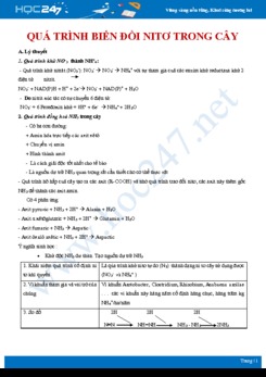 Tổng ôn Quá trình biến đổi của nito trong cây Sinh học 11