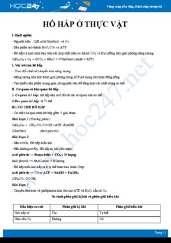 Kiến thức trọng tâm Quá trình hô hấp ở thực vật Sinh học 11