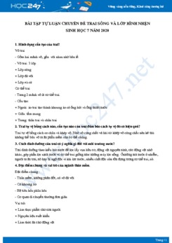 Bài tập tự luận chuyên đề Trai sông và lớp hình nhện Sinh học 7 năm 2020 có đáp án