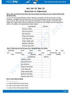Bài tập về tính từ hay có đáp án (Exercises on Adjectives)