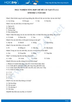 Trắc nghiệm tổng hợp chủ đề Cấu tạo của Lá Sinh học 6 năm 2020 có đáp án