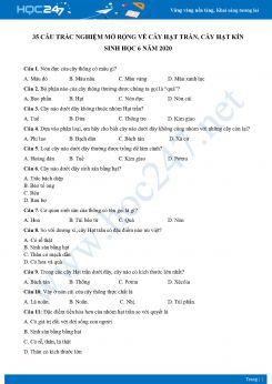35 Câu trắc nghiệm mở rộng về cây hạt trần, cây hạt kín Sinh học 6 năm 2020 có đáp án