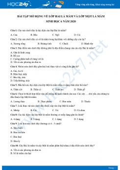 Bài tập mở rộng về lớp hai lá mầm và lớp một lá mầm Sinh học 6 năm 2020 có đáp án