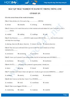 Bài tập trắc nghiệm về danh từ trong Tiếng Anh có đáp án