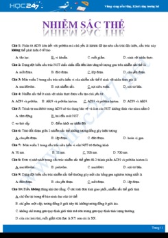 Câu hỏi trắc nghiệm ôn tập chủ đề Nhiễm sắc thể Sinh học 12 có đáp án