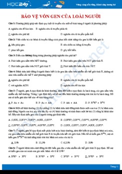 Câu hỏi trắc nghiệm ôn tập chủ đề Bảo vệ vốn gen của loài người Sinh học 12 có đáp án