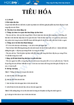 Lý thuyết và bài tập ôn tập Các kiến thức đại cương về quá trình tiêu hóa Sinh học 11