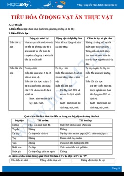 Tổng ôn Quá trình tiêu hóa ở động vật ăn thực vật Sinh học 11