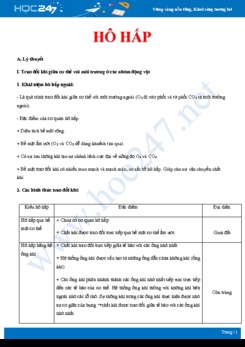 Lý thuyết và bài tập ôn tập Quá trình hô hấp ở động vật Sinh học 11