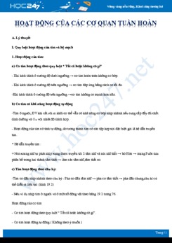 Tổng ôn Hoạt động của các cơ quan của hệ tuần hoàn Sinh học 11