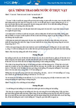 Bài tập tổng ôn Quá trình trao đổi nước ở thực vật Sinh học 11