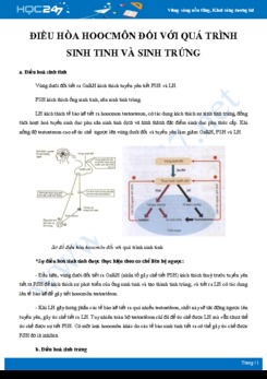 Kiến thức trọng tâm ôn tập Quá trình điều hòa hoocmon đối với quá trình sinh tinh và sinh trứng Sinh học 11
