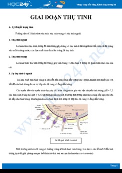 Lý thuyết và bài tập ôn tập Quá trình thụ tinh Sinh học 11