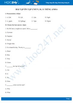 Bài tập ôn tập Unit 9, 10, 11 Tiếng Anh 6 số 2