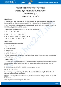 Đề thi học sinh giỏi môn Hóa học 8- Trường THCS Nguyễn Văn Trỗi có đáp án