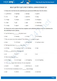 Bài tập ôn tập Unit 9 Tiếng Anh 8 có đáp án số 1