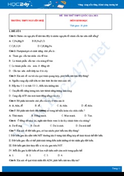 Bộ 5 đề thi thử tốt nghiệp THPT QG năm 2021 môn Sinh học - Trường THPT Nguyễn Huệ có đáp án