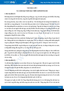 Tả cảnh mặt trời mọc trên quê hương em - Văn mẫu lớp 5